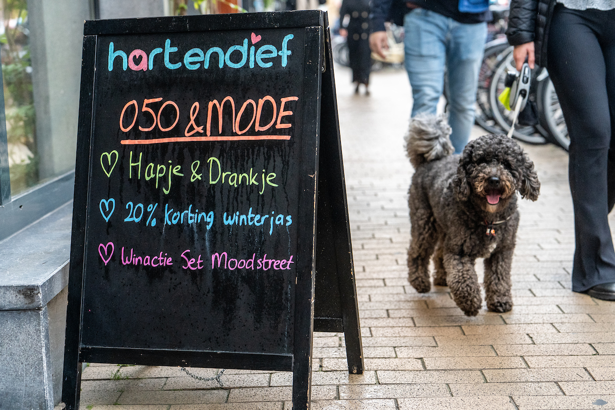Pvdb 20210925 9172